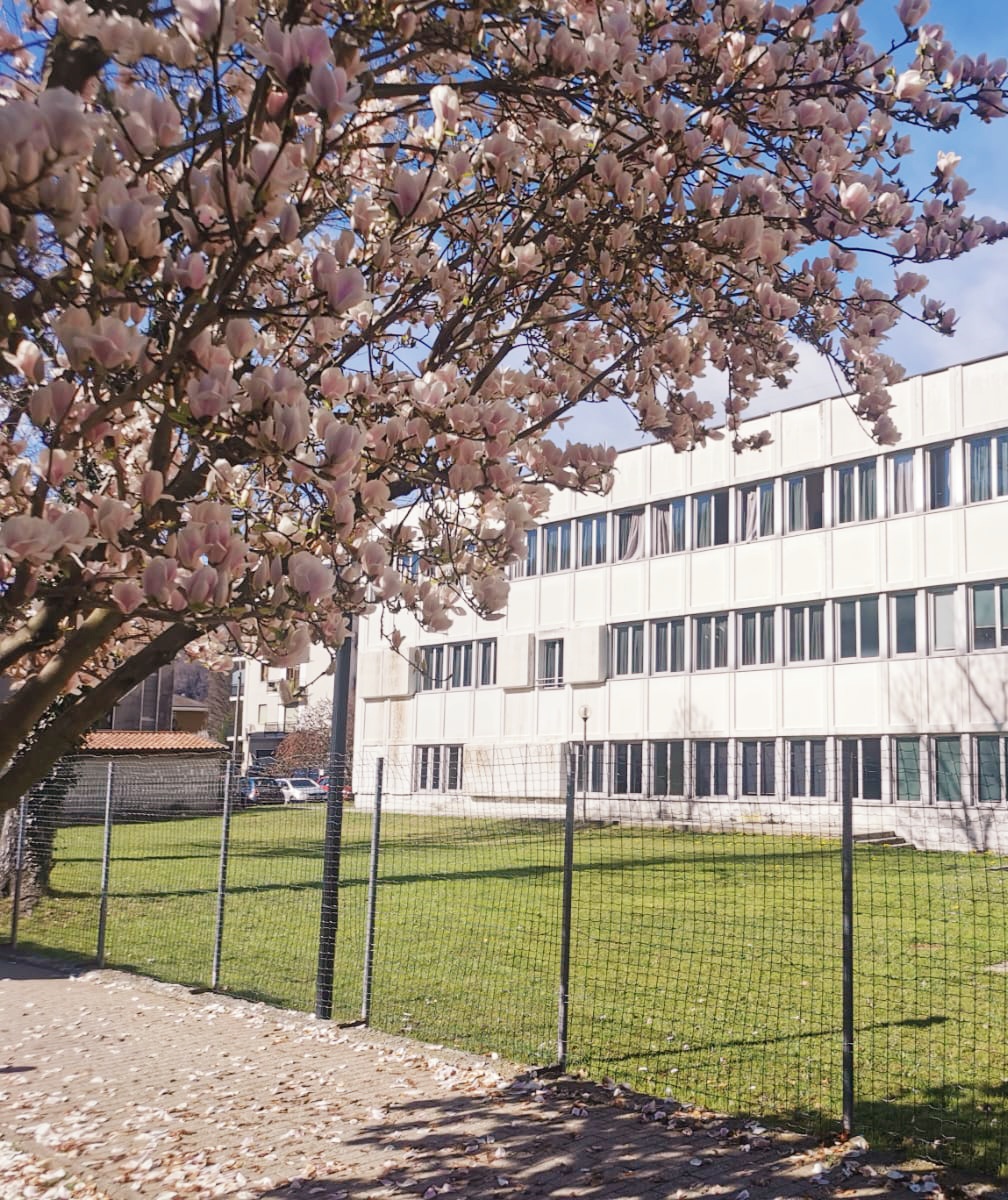 BOCCIOLETO - school photo 1 showing facilities in BOCCIOLETO